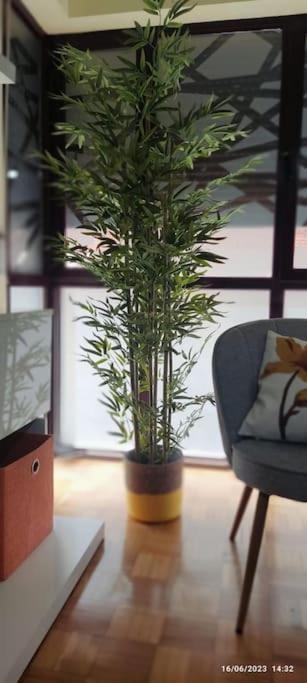 זמורה Los Bolardos מראה חיצוני תמונה
